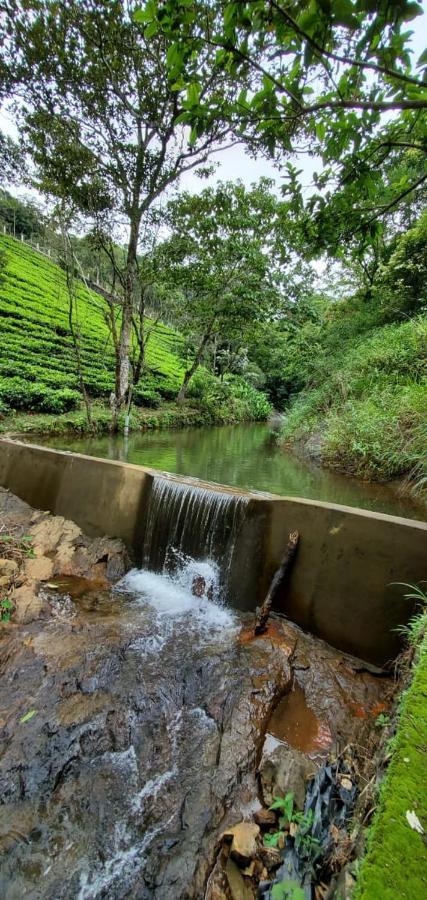 Idam Resort Vagamon Extérieur photo